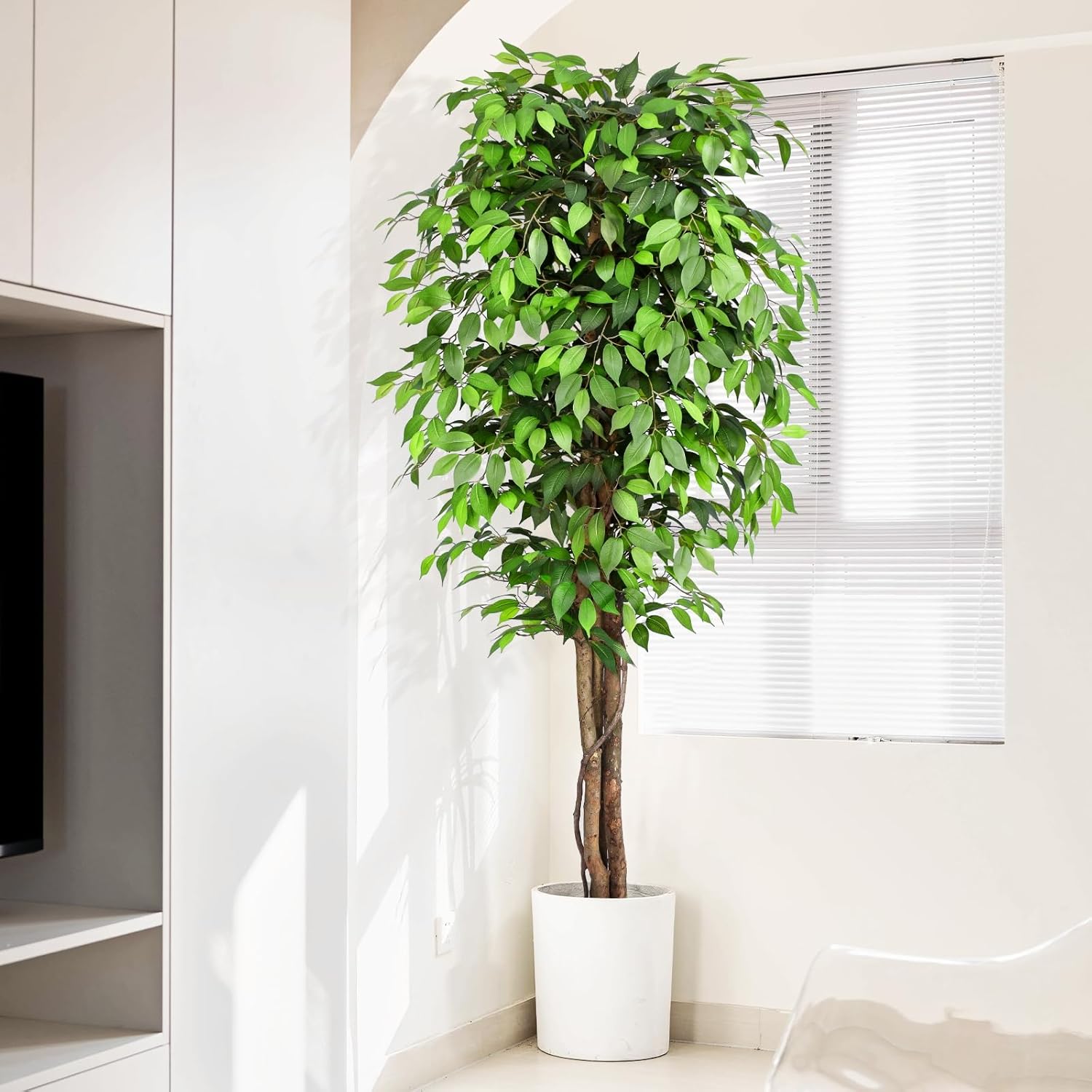 ต้นไทรประดิษฐ์เสมือนจริงพร้อมล - Monstera Adansonii บทวิจารณ์และราคา