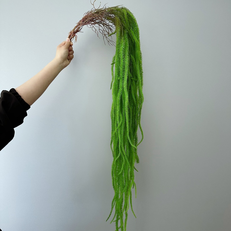 ประดิษฐ์ Willow Beard อเนกประส - Monstera Adansonii บทวิจารณ์และราคา