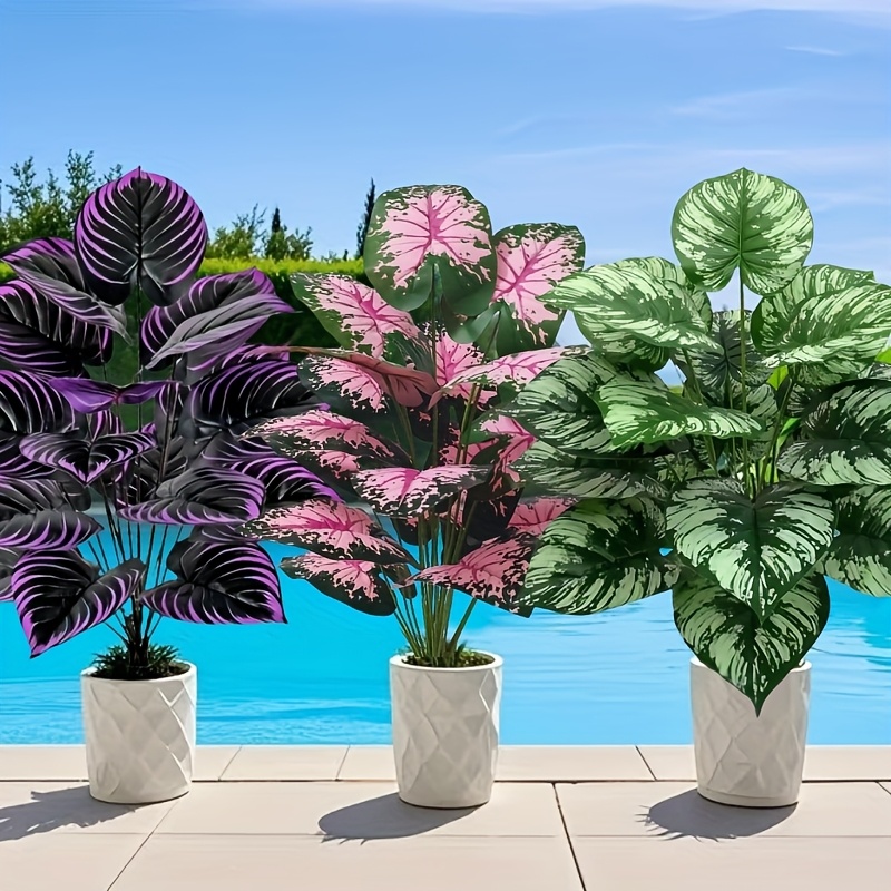 3 ชิ้น 60 เซนติเมตรขนาดใหญ่พืช - Monstera Adansonii บทวิจารณ์และราคา