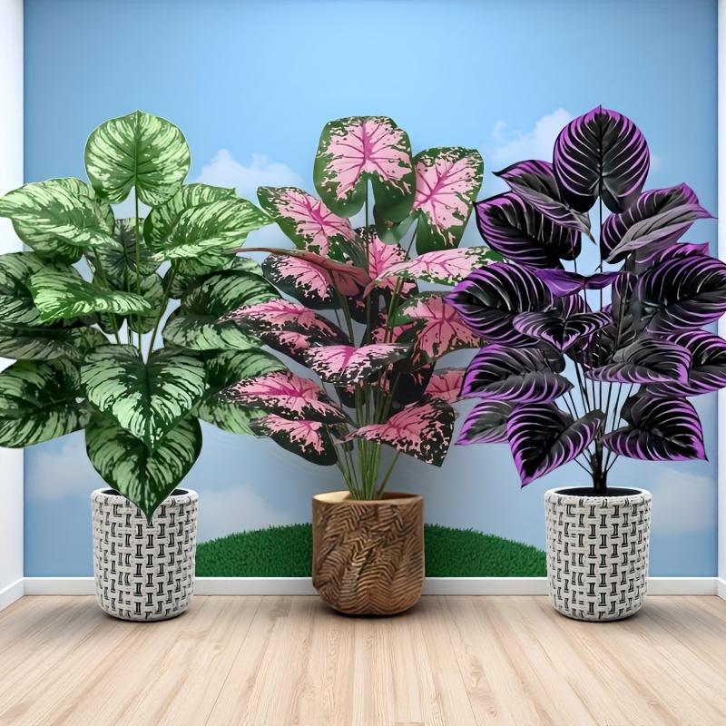 3 ชิ้น 60 เซนติเมตรขนาดใหญ่พืช - Monstera Adansonii บทวิจารณ์และราคา