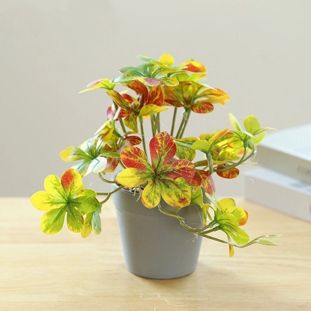 บอนไซ ต้นบอนไซประดิษฐ์ ต้นแมงม - Spider Plant Hanging บทวิจารณ์และราคา